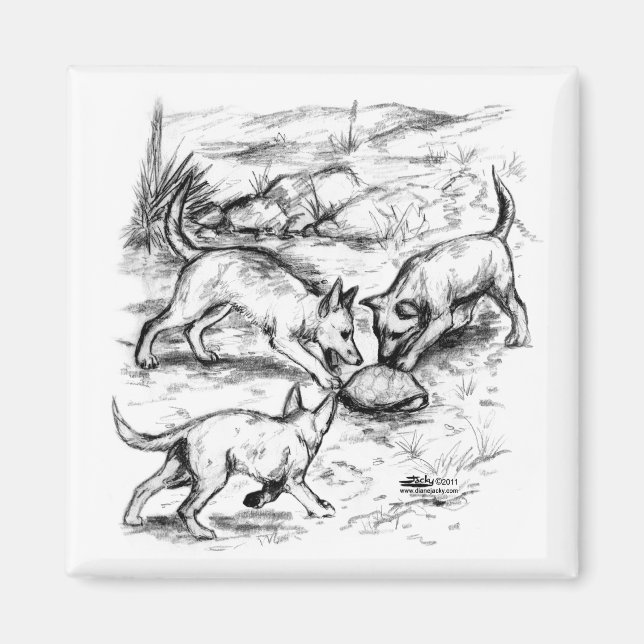 Coyote Pups Magnet (Front)