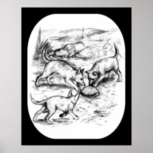 Coyote Pups Poster
