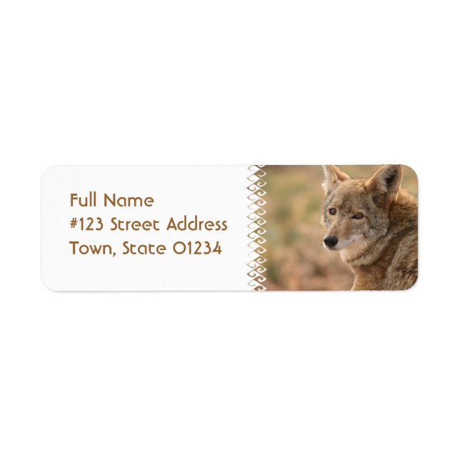 Coyote Return Address Mailing Label Return Address Label (Front)