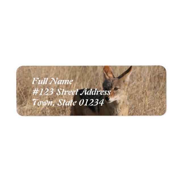 Coyote Return Address Mailing Label Return Address Label (Front)