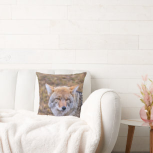 Coyote Wild Dog Pillow