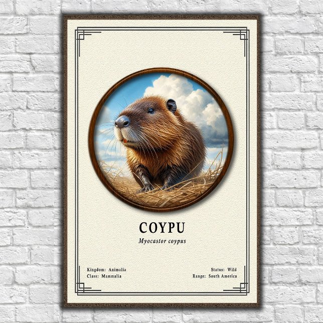 Coypu Zoology Series Poster (Creator Uploaded)