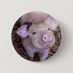 Cozmico 6 Cm Round Badge