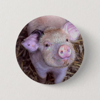 Cozmico 6 Cm Round Badge