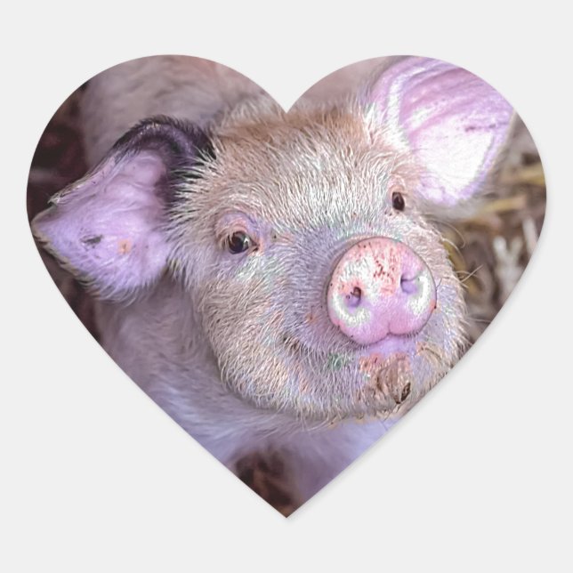 Cozmico Heart Sticker (Front)