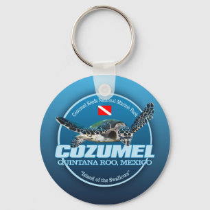 Cozumel (DD2) Key Ring
