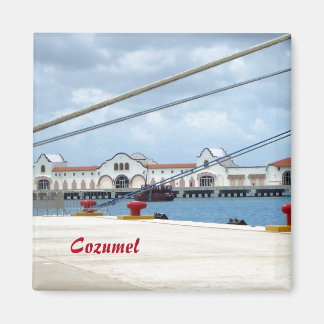 Cozumel Dockside Magnet