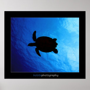 Cozumel - Hawksbill #011 Poster