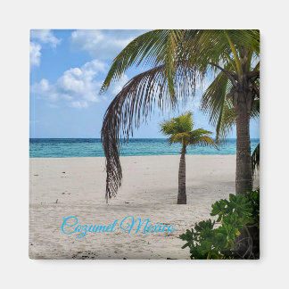 Cozumel Mexico Magnet