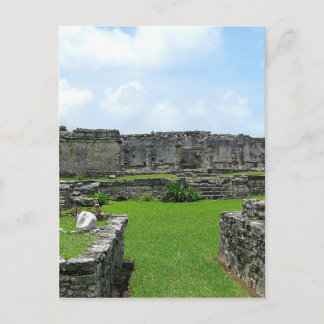 Cozumel Mexico Postcard