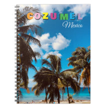 Cozumel Mexico Souvenir Travel