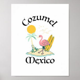 Cozumel Mexico Souvenir Vacation Travel Men Women Poster