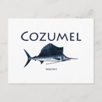 Cozumel Sailfish