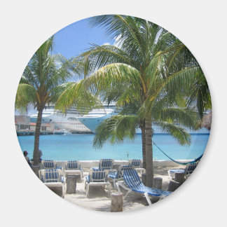 Cozumel Vacation View Magnet