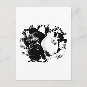 Cozy Bed, Quiet Hello Postcard