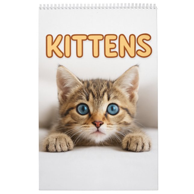 Cozy Cat Photography | Cute Kitten Cat Wall  Calendar (Cover)