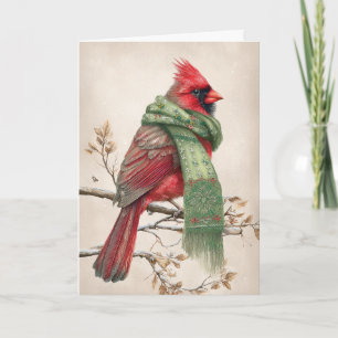 Cozy Christmas Cardinal Holiday Card