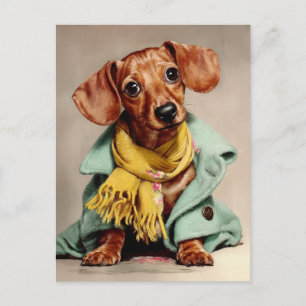 Cozy Dachshund Fashion Portrait Postcard