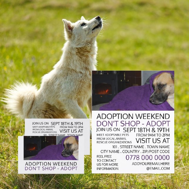 Cozy Dog, Pet Adoption Event Advertising Business Card (Creator Uploaded)
