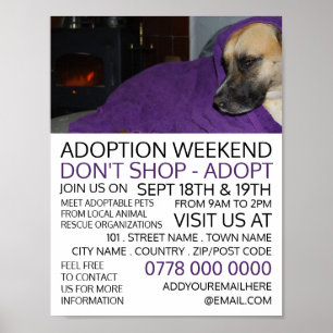 Cozy Dog, Pet Adoption Event Advertising Poster