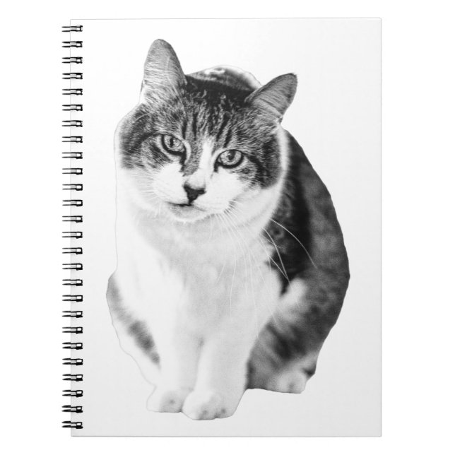 Cozy Gentle Moment Notebook (Front)
