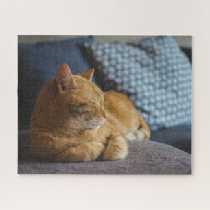 Cozy Ginger Cat Jigsaw Puzzle