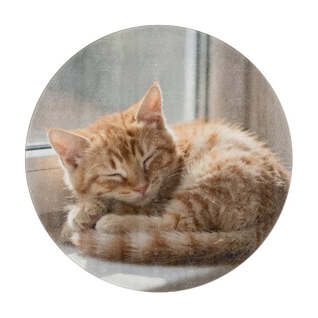 Cozy Ginger Cat Sunbathing Nap Cutting Board (Front)