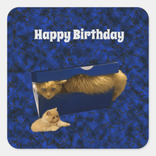 "Cozy Hideaway: The Ginger Cat in the Shoe Box" Square Sticker