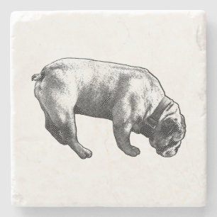 Cozy Map, Manga Paws Stone Coaster