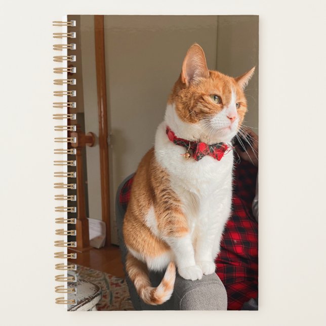 Cozy Orange Tabby Cat Planner Small (Front)