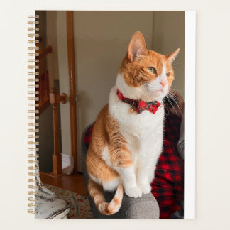 Cozy Planner Small Tabby Cat Planner