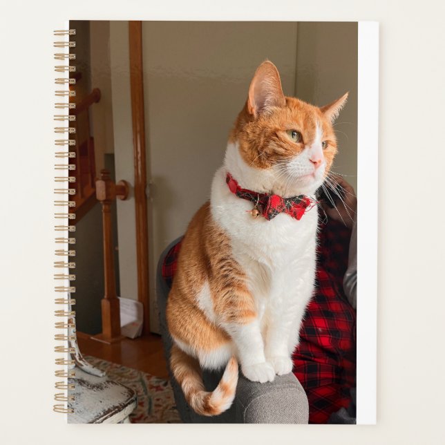 Cozy Planner Small Tabby Cat Planner (Front)