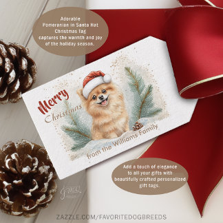 Cozy Pomeranian Santa Hat Christmas Gift Tag