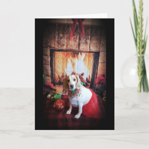COZY/WARM MERRY CHRISTMAS / HAPPY NEW YEAR HOLIDAY CARD