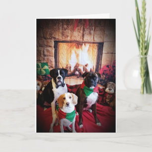 COZY/WARM MERRY CHRISTMAS / HAPPY NEW YEAR HOLIDAY CARD