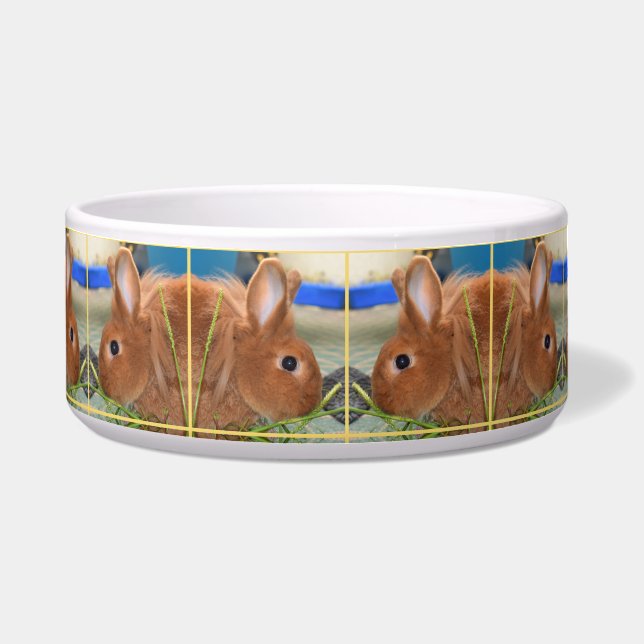 Cptn Carrotpants Bunny Rabbit Bowl (Front)