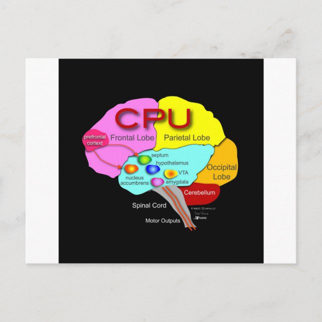 CPU Brain Postcard (Front)