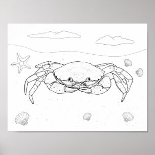 Crab Adult Colouring Poster