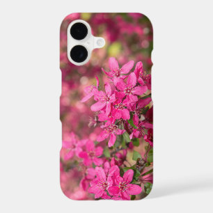 Crab Apple Blooms