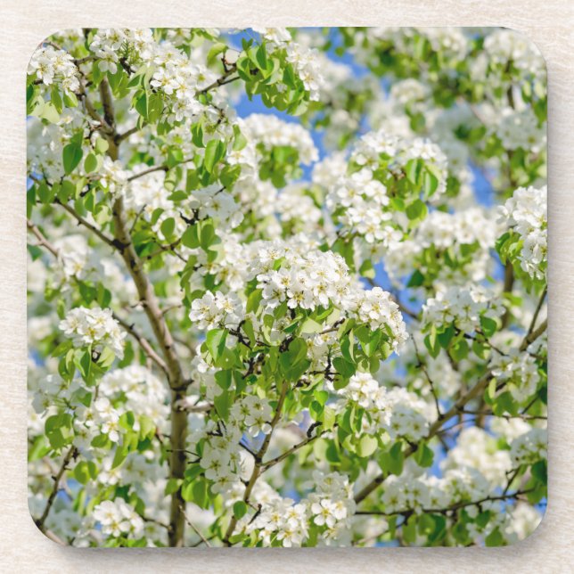 Crab apple blossom coaster (Front)