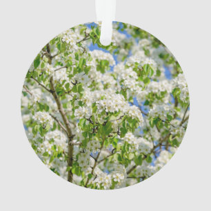 Crab apple blossom ornament