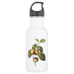 crab apple(Malus sp.) by Redouté 532 Ml Water Bottle