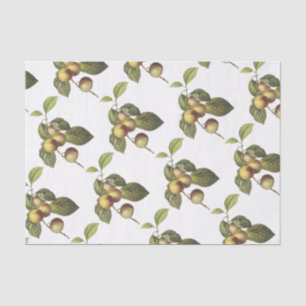 Crab apple Pattern Tissue Paper