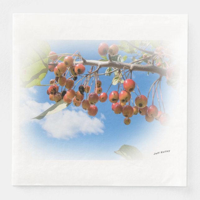 Crab Apple Photo Napkin (Front)