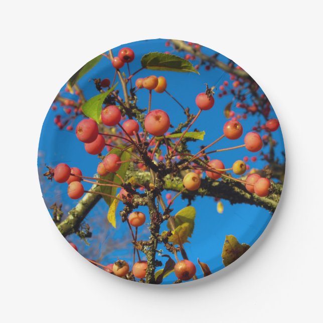 Crab Apples and Blue Sky Paper Plate (Front)