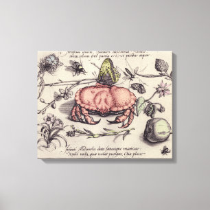 Crab Botanical Insect Flower Illustration Canvas Print