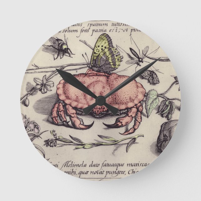 Crab Botanical Insect Flower Illustration Round Clock (Front)