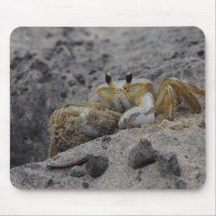 Crab, Crustacean, Sand Mouse Pad
