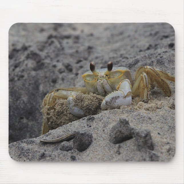 Crab, Crustacean, Sand Mouse Pad (Front)