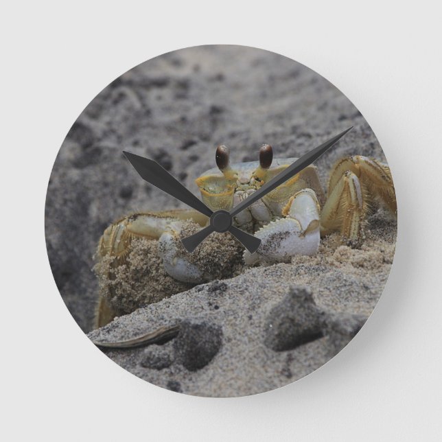 Crab, Crustacean, Sand Round Clock (Front)